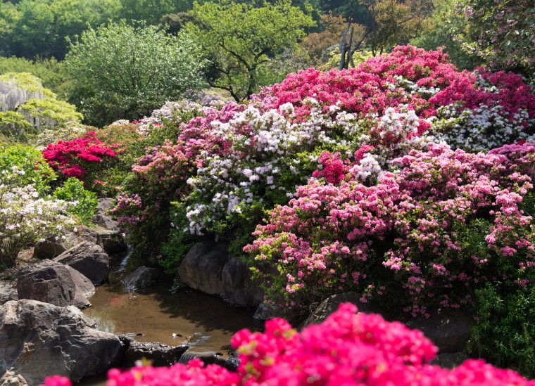 4114D546-CE49-4FF6-8869-0DC4A1303D79