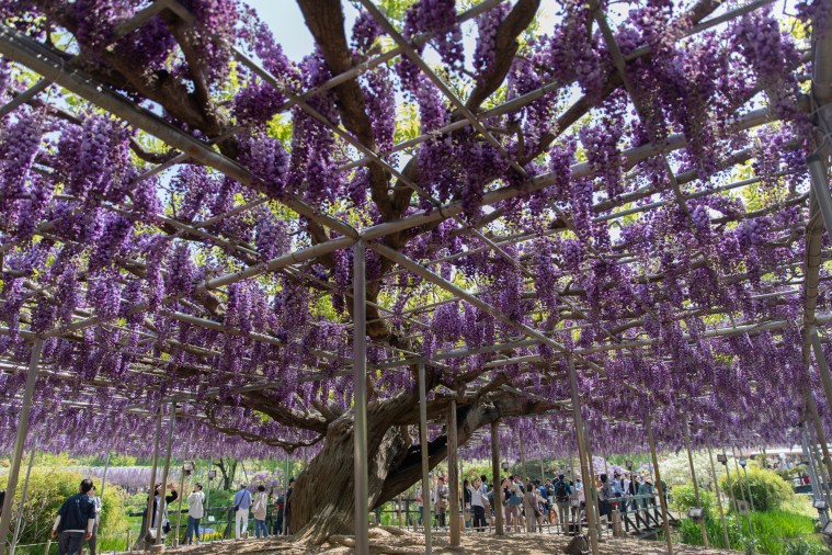 6B5ACDE0-2136-427C-B5FE-548B4938E2BC