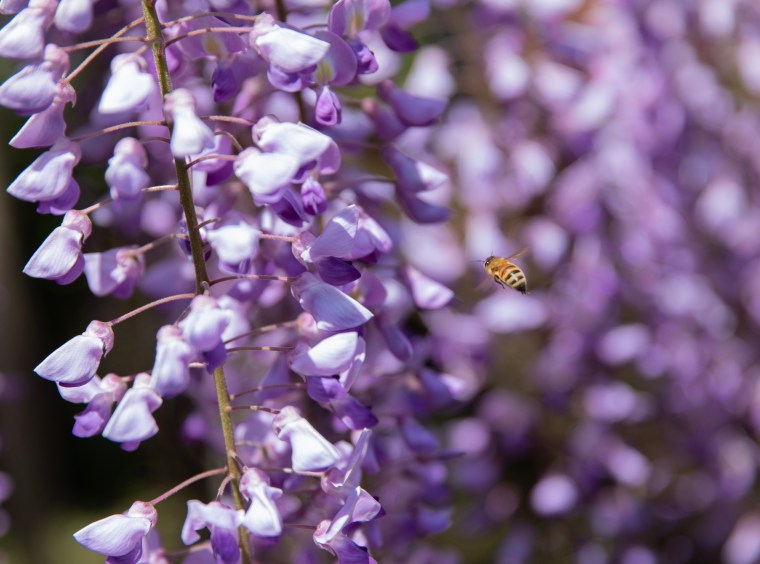 8CA44F87-F0B5-4E65-ADE8-1BF6C76D1ECA