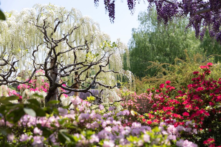 AD38FDC1-F278-44AF-B82D-6781C057050D