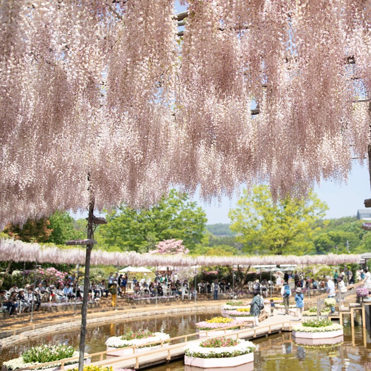 E721D9E2-2918-463E-B314-C07096094BC0