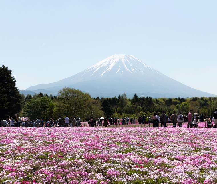 2F391BC4-5FD3-44E4-B874-D5BFD2FF0BC3