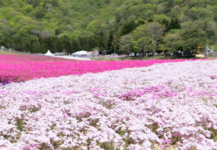 964691A2-D9E8-45CD-834E-818D1F384546