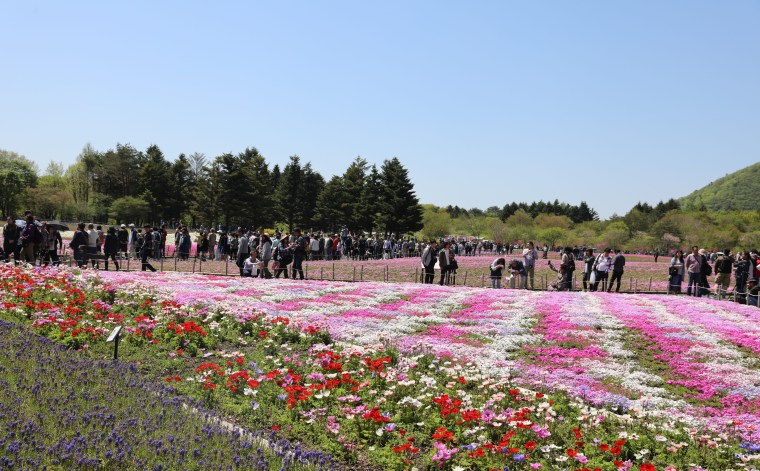 9C0E40A1-175F-45E0-B53A-B682D3A3F495