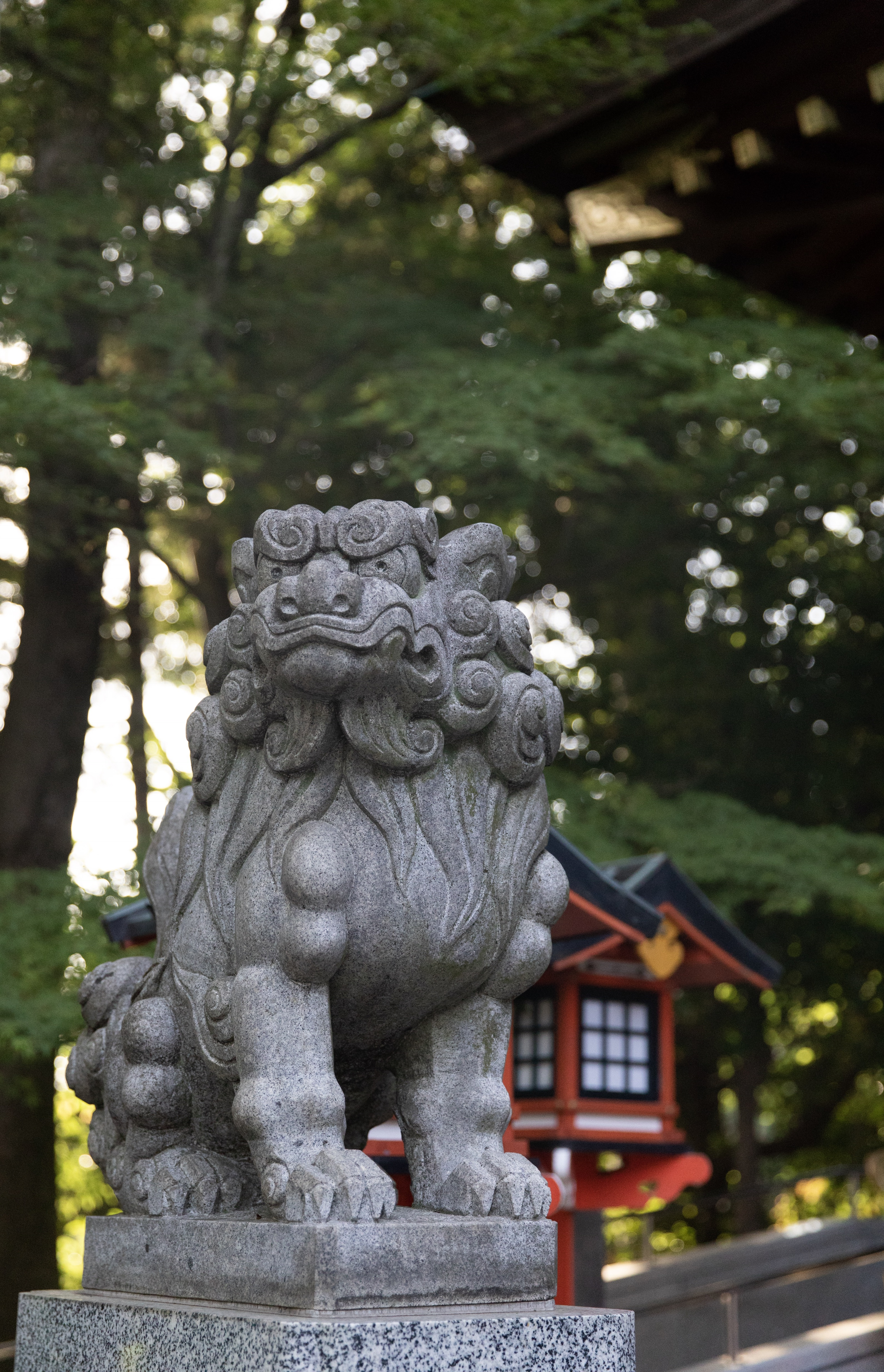 BA37243C-51DB-4289-883F-DDC9B919A5EF