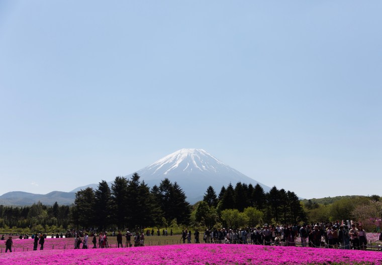 C8E2FD5D-9F55-4CA2-B0C6-69C26806CCEF