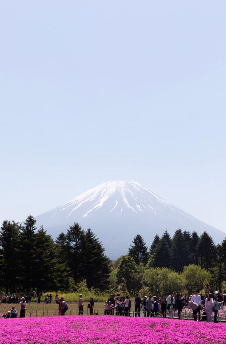 E5E2B219-C646-41AE-86E0-1124757003A9