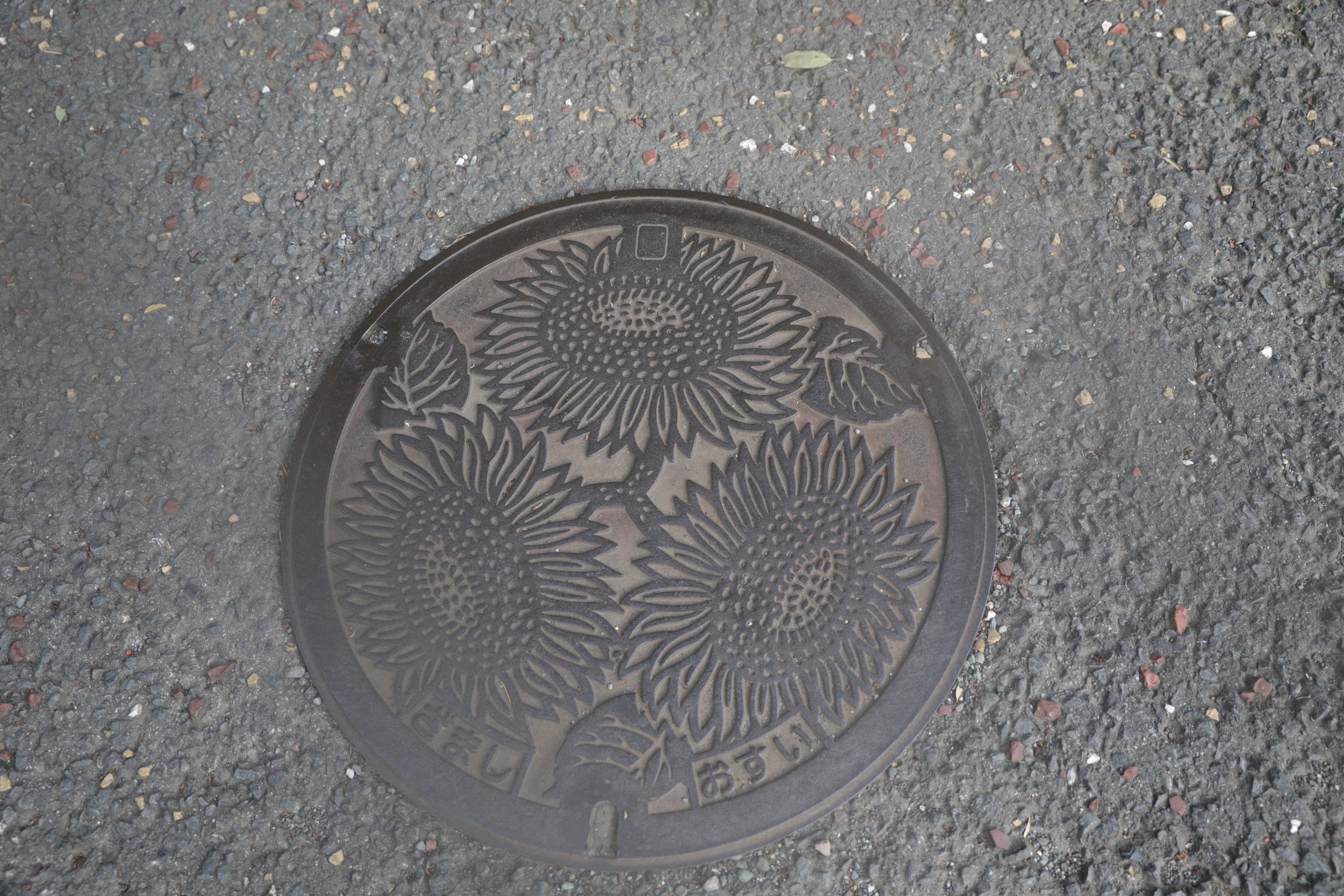 F5A31BFE-E33F-4B33-8F0D-C600D58F233F