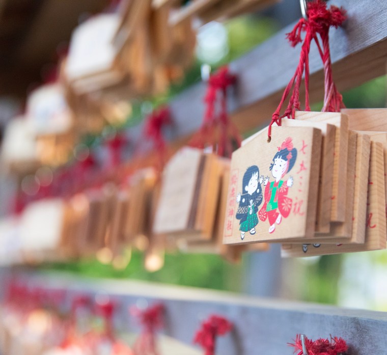 FC8AA834-AA0A-4B96-9CE9-ED89C8F34694