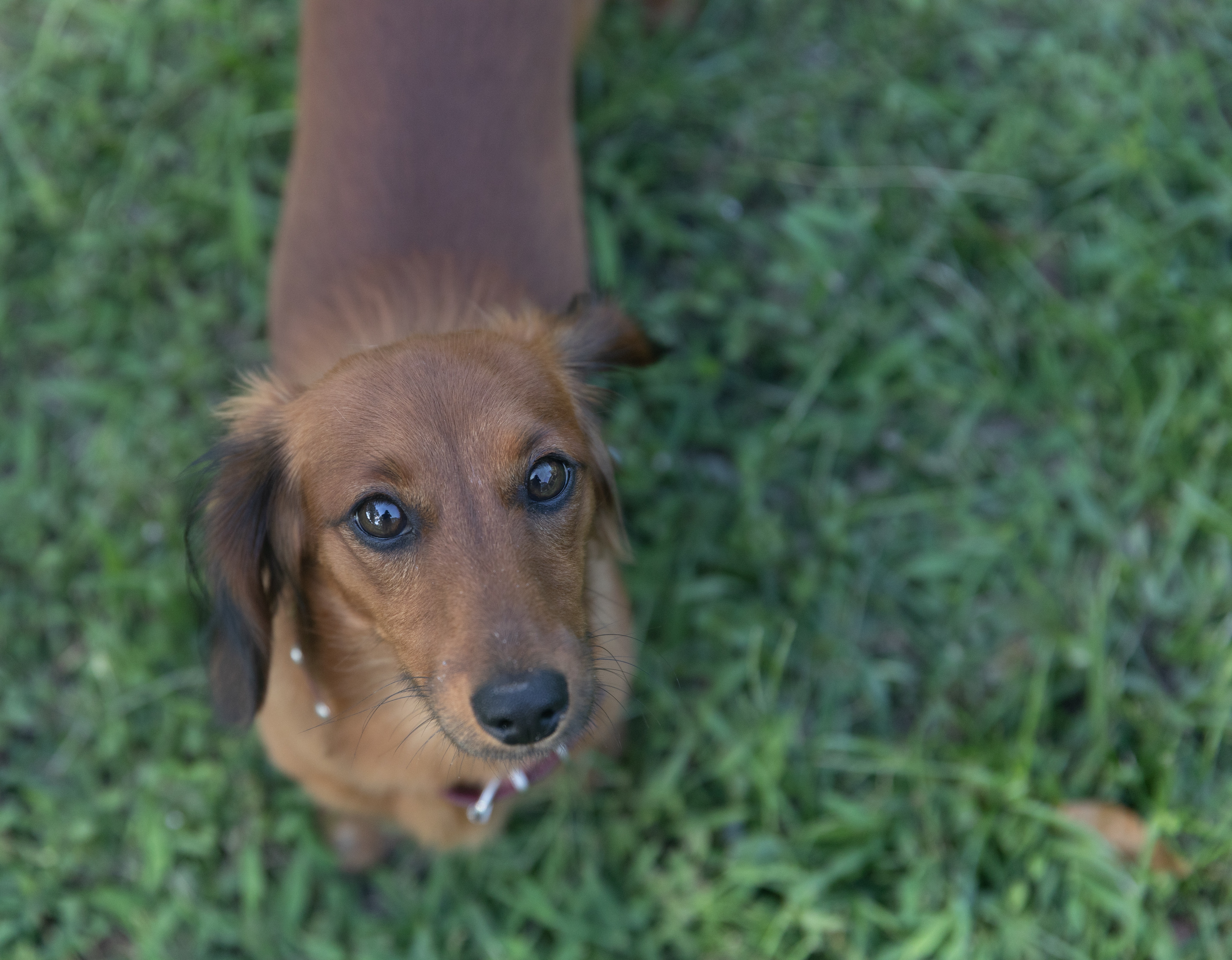 00A925B6-D732-417B-853F-8803A1ABED27