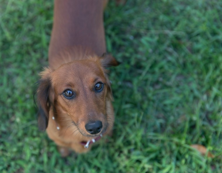 00A925B6-D732-417B-853F-8803A1ABED27