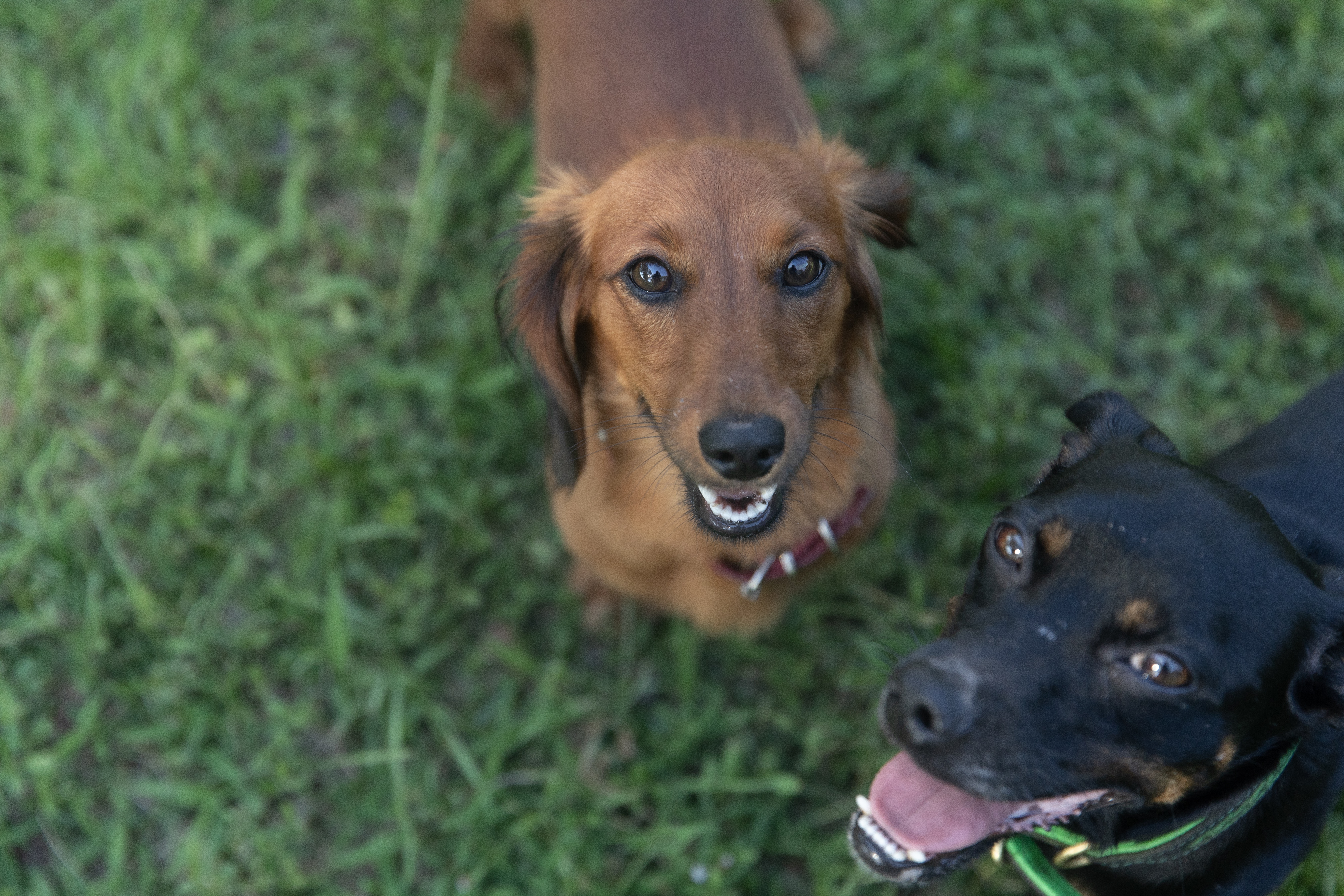 23B3FCA2-2EC9-405A-B6CE-4759B6C06417