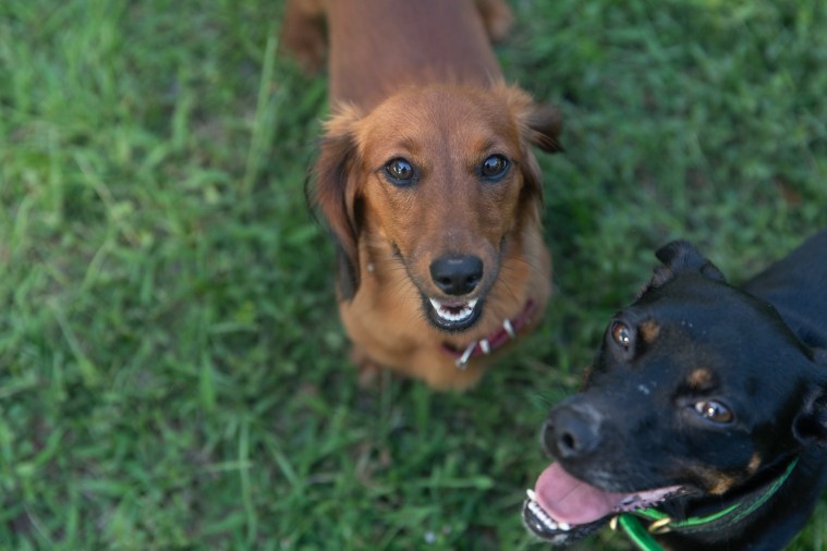 23B3FCA2-2EC9-405A-B6CE-4759B6C06417